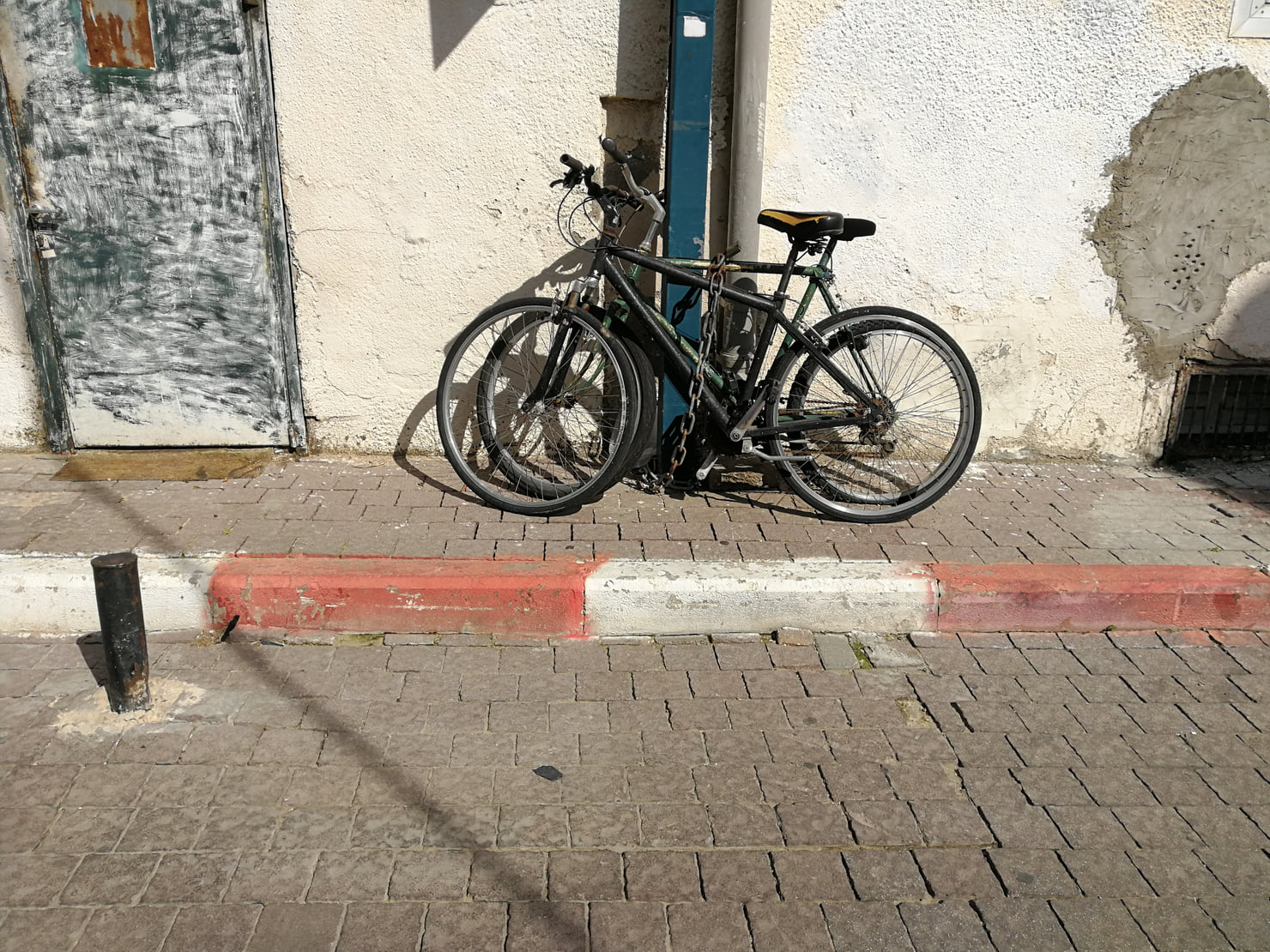 צילום מגובה העיניים שלנו